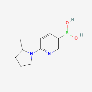 (6-(2-Methylpyrrolidin-1-yl)pyridin-3-yl)boronic acid