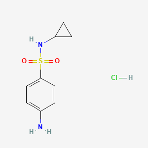 4-amino-N-cyclopropylbenzene-1-sulfonamide hydrochloride