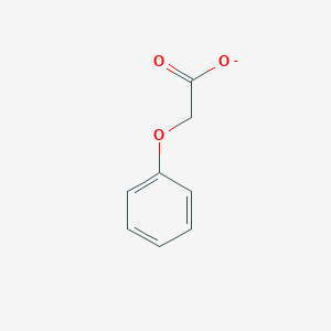 molecular formula C8H7O3- B1228835 Phenoxyacetate 