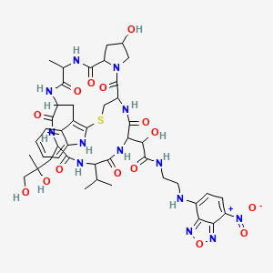 molecular formula C45H57N13O15S B1228991 Nbd-phallicidin CAS No. 73413-78-2