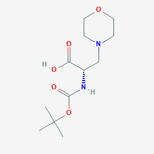 molecular formula C12H22N2O5 B12290750 Boc-3-(1-Morpholinyl)-L-Ala-OH 