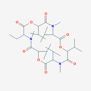 EnniatinK1