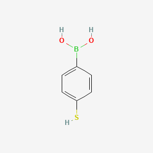 molecular formula C6H7BO2S B1229282 4-巯基苯硼酸 CAS No. 237429-33-3