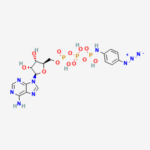 ATP gamma-p-Azidoanilide