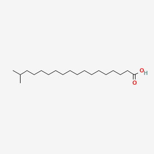 molecular formula C19H38O2 B1229425 17-Methyloctadecanoic acid CAS No. 2724-59-6