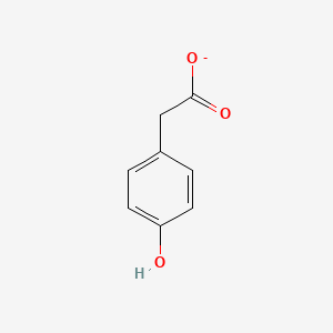 molecular formula C8H7O3- B1229458 4-Hydroxyphenylacetate 