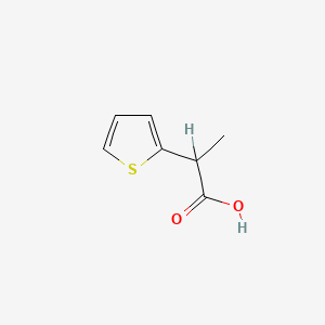 molecular formula C7H8O2S B1229578 Ácido 2-(tiofen-2-il)propanoico CAS No. 54955-39-4