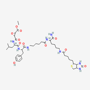 Ethyl 3-[[1-[[1-[[6-[[1-amino-1-oxo-6-[5-(2-oxo-1,3,3a,4,6,6a-hexahydrothieno[3,4-d]imidazol-4-yl)pentanoylamino]hexan-2-yl]amino]-6-oxohexyl]amino]-3-(4-hydroxyphenyl)-1-oxopropan-2-yl]amino]-4-methyl-1-oxopentan-2-yl]carbamoyl]oxirane-2-carboxylate