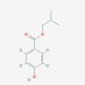 molecular formula C11H14O3 B12298531 Iso-butyl 4-hydroxybenzoate-2,3,5,6-D4 