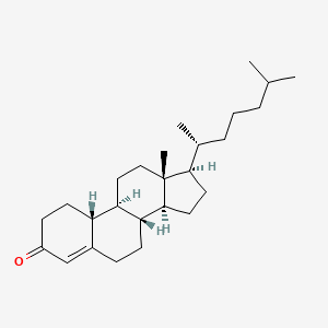 molecular formula C26H42O B1229900 19-Norcholest-4-en-3-one CAS No. 3404-22-6