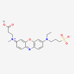 molecular formula C21H25N3O6S B1229998 3-[N-(2-羧乙基)甲基氨基]-7-[N-乙基(3-磺酸丙基)氨基]吩恶嗪-5-鎓 CAS No. 343257-52-3