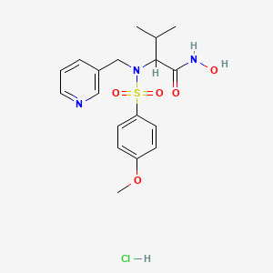 N-hydroxy-2-[(4-methoxyphenyl)sulfonyl-(pyridin-3-ylmethyl)amino]-3-methylbutanamide;hydrochloride