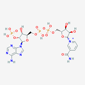 molecular formula C21H29N7O17P3+ B123011 NADP 烟酰胺腺嘌呤二核苷酸磷酸 CAS No. 141442-04-8