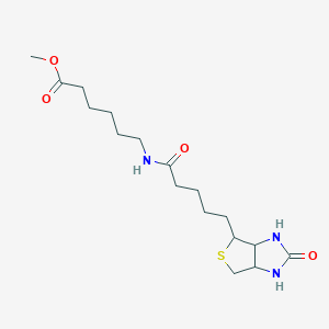 molecular formula C17H29N3O4S B12302077 Methyl 6-(+)-biotinylamidohexanoate 