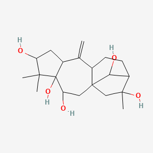 5,5,14-Trimethyl-9-methylidenetetracyclo[11.2.1.01,10.04,8]hexadecane-3,4,6,14,16-pentol