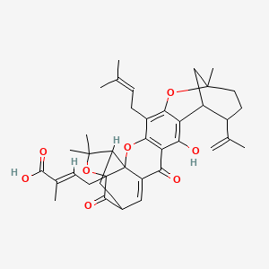 molecular formula C38H44O8 B12302495 (E)-4-[14-hydroxy-8,23,23-trimethyl-5-(3-methylbut-2-enyl)-16,20-dioxo-11-prop-1-en-2-yl-3,7,22-trioxaheptacyclo[17.4.1.18,12.02,17.02,21.04,15.06,13]pentacosa-4(15),5,13,17-tetraen-21-yl]-2-methylbut-2-enoic acid 