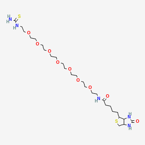 N-[2-[2-[2-[2-[2-[2-[2-[2-(carbamothioylamino)ethoxy]ethoxy]ethoxy]ethoxy]ethoxy]ethoxy]ethoxy]ethyl]-5-(2-oxo-1,3,3a,4,6,6a-hexahydrothieno[3,4-d]imidazol-4-yl)pentanamide