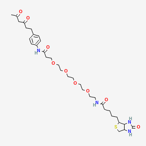 molecular formula C33H50N4O9S B12303012 N-[2-[2-[2-[2-[3-[4-(3,5-dioxohexyl)anilino]-3-oxopropoxy]ethoxy]ethoxy]ethoxy]ethyl]-5-(2-oxo-1,3,3a,4,6,6a-hexahydrothieno[3,4-d]imidazol-4-yl)pentanamide 