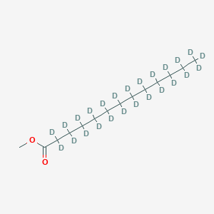 molecular formula C14H28O2 B12303027 Methyl tridecanoate-d25 