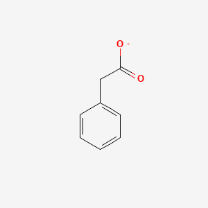 molecular formula C8H7O2- B1230308 苯乙酸 