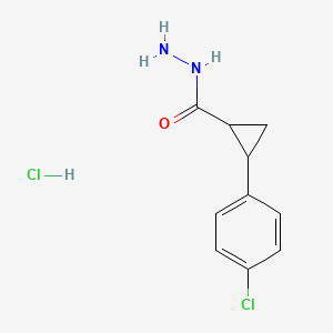 molecular formula C10H12Cl2N2O B12303270 rac-(1R,2R)-2-(4-chlorophenyl)cyclopropane-1-carbohydrazide hydrochloride, trans 