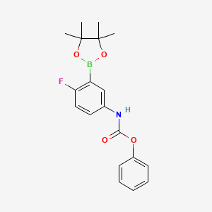 molecular formula C19H21BFNO4 B12304531 Carbamic acid, N-[4-fluoro-3-(4,4,5,5-tetramethyl-1,3,2-dioxaborolan-2-yl)phenyl]-, phenyl ester CAS No. 2096333-70-7