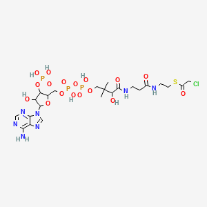 Chloroacetyl coa