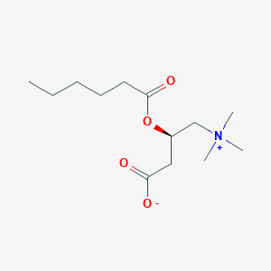 molecular formula C13H26NO4+ B1230659 L-Hexanoylcarnitine CAS No. 22671-29-0