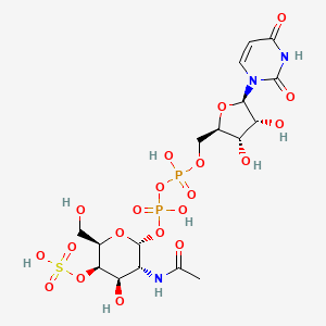molecular formula C17H27N3O20P2S B1230697 尿苷二磷酸-N-乙酰半乳糖胺4-硫酸酯 CAS No. 3863-56-7