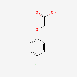 molecular formula C8H6ClO3- B1230714 4-氯苯氧乙酸 
