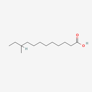 B1230805 10-Methyldodecanoic acid CAS No. 7416-57-1