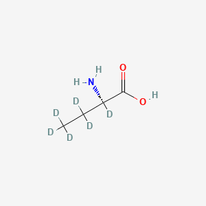 molecular formula C4H9NO2 B12308104 D-2-Aminobutyric-2,3,3,4,4,4-d6 Acid 