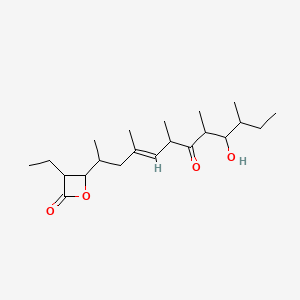 molecular formula C21H36O4 B1230877 3-乙基-4-[(E)-9-羟基-4,6,8,10-四甲基-7-氧代十二-4-烯-2-基]氧杂环-2-酮 CAS No. 76808-15-6