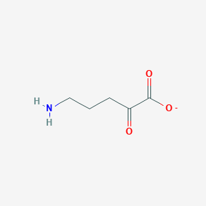 molecular formula C5H8NO3- B1230927 5-氨基-2-氧代戊酸 
