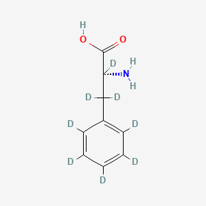 molecular formula C9H11NO2 B12309289 d-Phenyl-d5-alanine-2,3,3-d3 