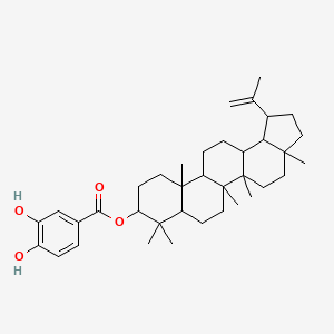 molecular formula C37H54O4 B12309753 3,4-Dihydroxybenzoyllupeol 