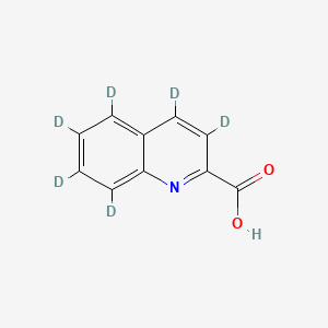 molecular formula C10H7NO2 B12309762 Quinaldic-d6 Acid 