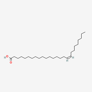 molecular formula C26H50O2 B1231010 Ximenic acid CAS No. 66274-43-9