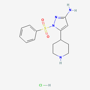 1-(phenylsulfonyl)-5-(piperidin-4-yl)-1H-pyrazol-3-amine hydrochloride