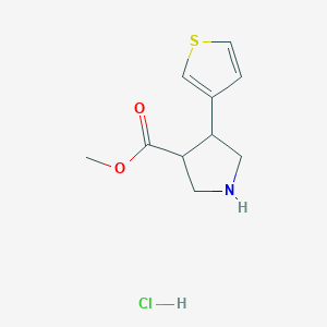 molecular formula C10H14ClNO2S B12311212 Methyl 4-(thiophen-3-yl)pyrrolidine-3-carboxylate hydrochloride 