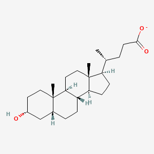 molecular formula C24H39O3- B1231129 3-α-羟基-5-β-胆酸 