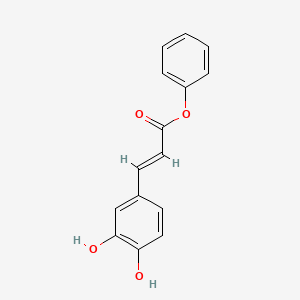 phenyl (E)-3-(3,4-dihydroxyphenyl)prop-2-enoate