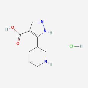 molecular formula C9H14ClN3O2 B12311948 3-(piperidin-3-yl)-1H-pyrazole-4-carboxylic acid hydrochloride 