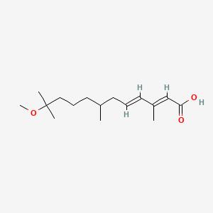 molecular formula C16H28O3 B1231223 (2E,4E)-11-Methoxy-3,7,11-trimethyldodeca-2,4-dienoic acid CAS No. 53092-52-7