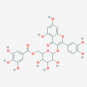 molecular formula C28H24O16 B12312609 [6-[2-(3,4-Dihydroxyphenyl)-5,7-dihydroxy-4-oxochromen-3-yl]oxy-3,4,5-trihydroxyoxan-2-yl]methyl 3,4,5-trihydroxybenzoate 