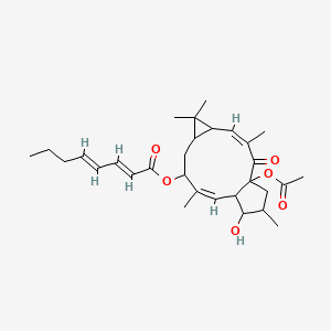 molecular formula C30H42O6 B12312617 [(3Z,10Z)-1-acetyloxy-13-hydroxy-3,6,6,10,14-pentamethyl-2-oxo-9-tricyclo[10.3.0.05,7]pentadeca-3,10-dienyl] (2E,4E)-octa-2,4-dienoate 