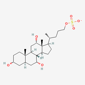 3alpha,7alpha,12alpha-Trihydroxy-5alpha-cholan-24-yl sulfate(1-)