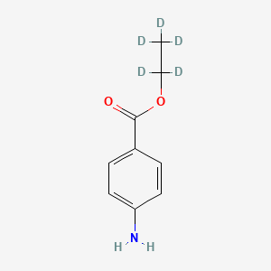 molecular formula C9H11NO2 B12313262 Ethyl-d5 4-aminobenzoate 