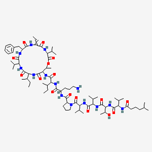 molecular formula C75H124N14O16 B1231343 N-[5-amino-1-[[1-[[9-benzyl-15-butan-2-yl-6-ethylidene-19-methyl-2,5,8,11,14,17-hexaoxo-3,12-di(propan-2-yl)-1-oxa-4,7,10,13,16-pentazacyclononadec-18-yl]amino]-3-methyl-1-oxopentan-2-yl]amino]-1-oxopentan-2-yl]-1-[2-[[2-[[3-hydroxy-2-[[3-methyl-2-(5-methylhexanoylamino)butanoyl]amino]butanoyl]amino]-3-methylbutanoyl]amino]-3-methylbutanoyl]pyrrolidine-2-carboxamide 