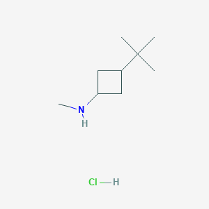 3-tert-Butyl-N-methylcyclobutan-1-amine hydrochloride